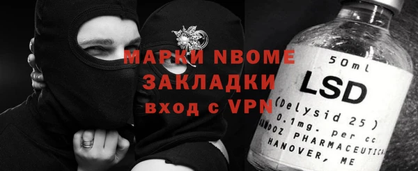 индика Алексин