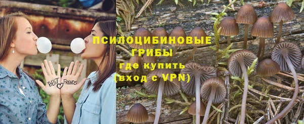 ГАЛЛЮЦИНОГЕННЫЕ ГРИБЫ Алексеевка