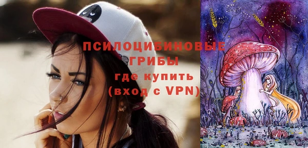 индика Алексин
