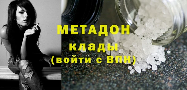 индика Алексин