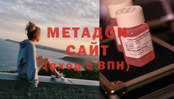 индика Алексин