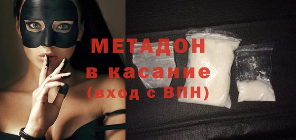 индика Алексин
