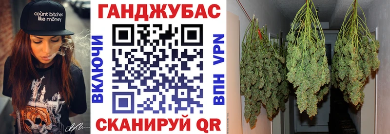 мега ссылки  Данилов  Бошки марихуана SATIVA & INDICA 